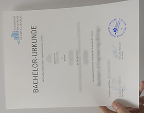 Frankfurt University of Applied Sciences Urkunde