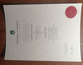 University of Limerick diploma