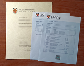 UNSW diploma and transcripts
