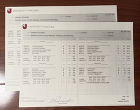 University of Nicosia transcript