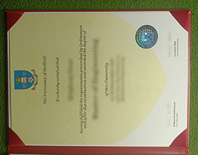 University of Sheffield diploma