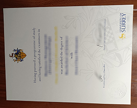 University of Surrey diploma