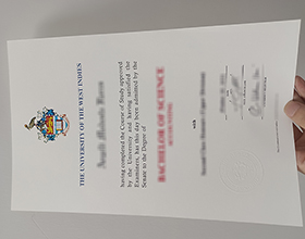 University of the West Indies diploma