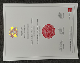 ACCA certificate