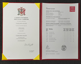 Cardiff University diploma
