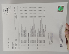 Deakin University transcript
