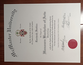 McMaster University diploma