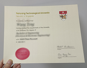 Nanyang Technological University diploma