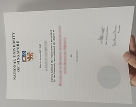 National University of Singapore diploma