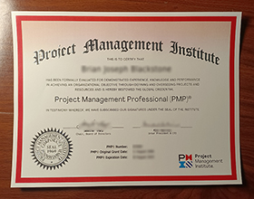 PMI certificate, PMP certificate