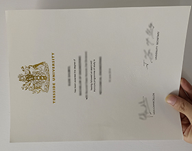 Teesside University diploma