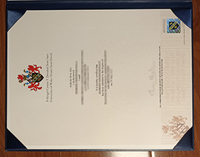 University of Wales Trinity Saint David diploma