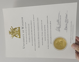 University of Windsor diploma