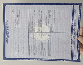 Western Governors University transcript