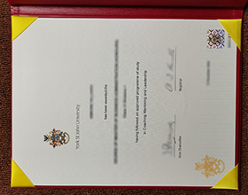 York St John University diploma