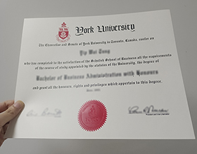 York University diploma