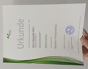 AKAD University Urkunde