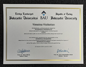 Bahçeşehir University diploma