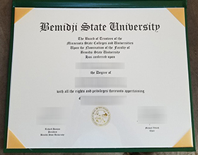 Bemidji State University diploma