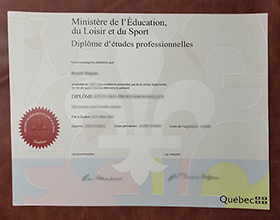Diplôme d'études professionnelles