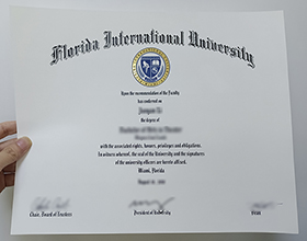 Florida International University diploma