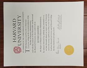 Harvard University degree