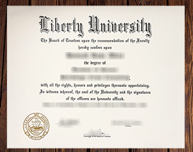 Liberty University degree