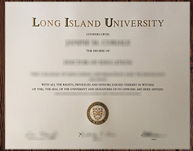 Long Island University diploma