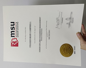 Management & Science University diploma