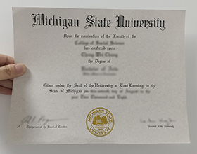 Michigan State University diploma