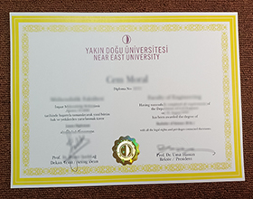 Near East University diploma