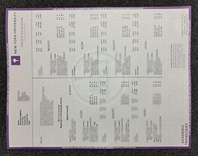 New York University transcript
