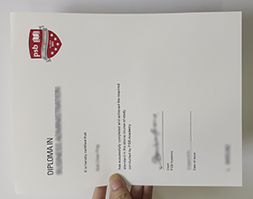 PSB Academy diploma