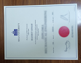 SEGi University diploma