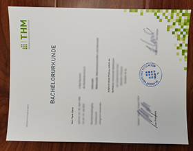 Technische Hochschule Mittelhessen Urkunde