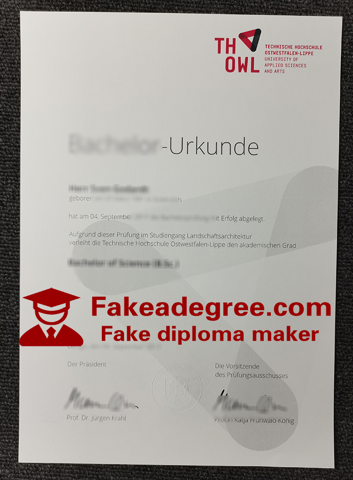 Technische Hochschule Ostwestfalen-Lippe Urkunde