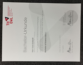 Technische Hochschule Ostwestfalen-Lippe Urkunde