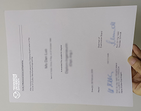 Technische Universität Dresden diploma