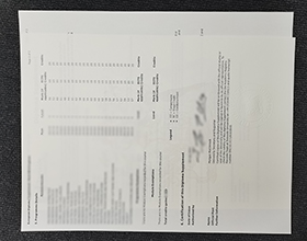 Teesside University transcript