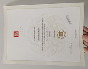 Temasek Polytechnic diploma