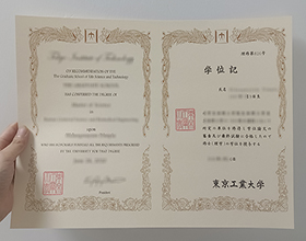Tokyo Institute of Technology diploma