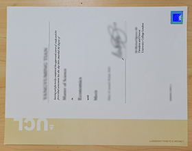 UCL diploma