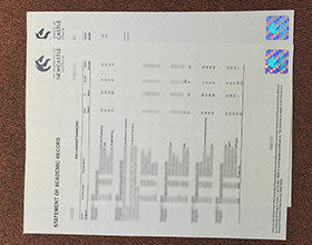 University of Newcastle transcript