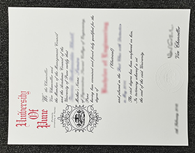 University of Pune diploma