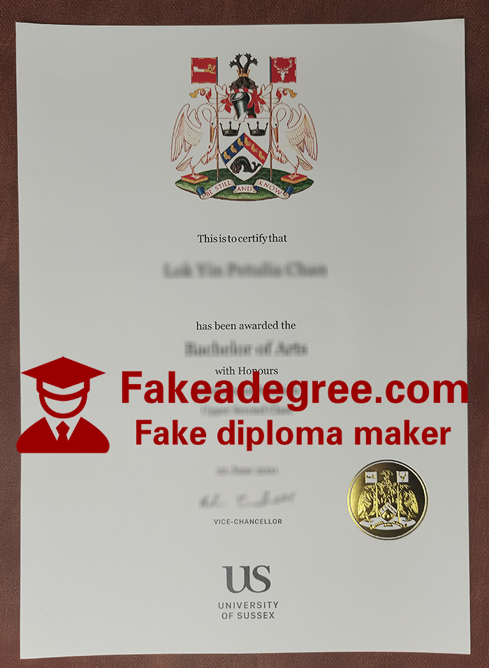 University of Sussex diploma