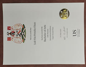 University of Sussex diploma
