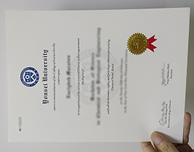 Yonsei University diploma