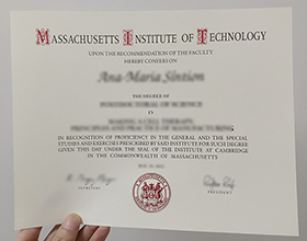 Massachusetts Institute of Technology degree