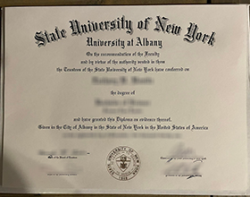 SUNY Albany diploma