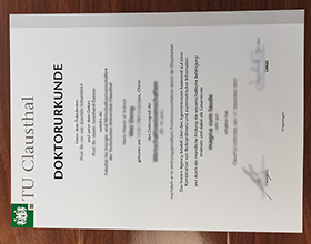 TU Clausthal degree
